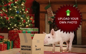 Christmas Delivery photo upload pet ecard