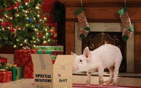 Christmas Delivery photo upload pet ecard