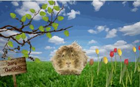Happy Spring, Happy Easter pet ecard