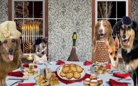 A Family Hanukkah pet ecard