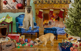Christmas Time pet ecard