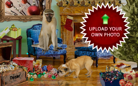 Christmas Time photo upload pet ecard