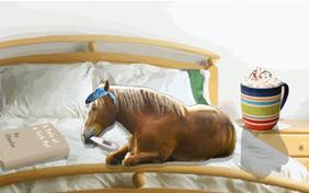 Rules For Getting Better pet ecard