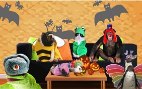 Costume Time pet halloween ecard