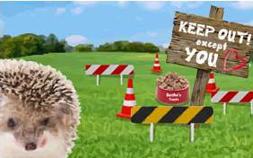 Keep Out Except You love ecard with pets