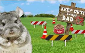 Keep Out Except Dad Father's Day pet ecard