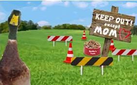 Keep Out! Except Mom Mother's Day pet ecard