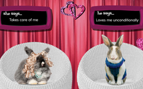 Is It Love pet ecard