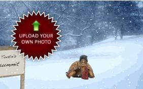 Merry Christmas Photo Upload pet ecard