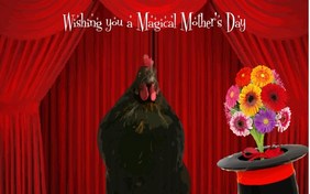 A Magical Mother's Day pet ecard