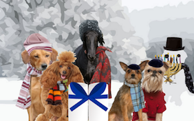A Hanukkah Message pet ecard