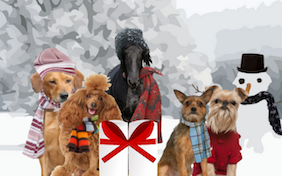 A Holiday Message pet ecard