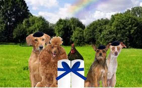A Passover Message pet ecard