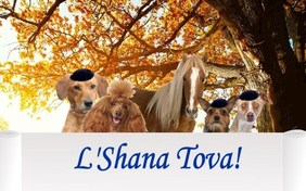 A Rosh Hashanah Message pet ecard