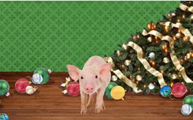 Naughty or Nice pet Christmas ecard