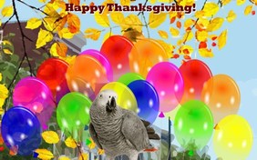 Thanksgiving Parade pet ecard
