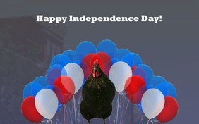 Independence Day Parade ecard with pets