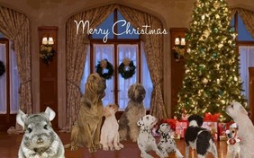 The Perfect Christmas Tree pet ecard
