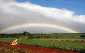 Sympathy For Pet Loss: Upload Your Own Photo pet ecard