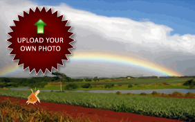 Sympathy For Pet Loss: Upload Your Own Photo pet ecard