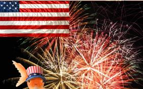 Fourth of July pet ecard