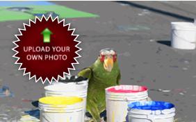 I Love You Photo Upload pet ecard