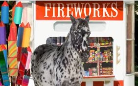 Happy New Year Four Ways photo upload pet ecard