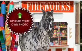 Happy New Year Four Ways photo upload pet ecard