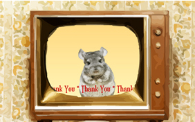 Thank You Four Ways photo upload pet ecard