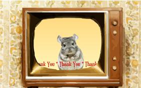 Thank You Four Ways pet ecard