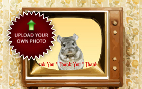Thank You Four Ways photo upload pet ecard