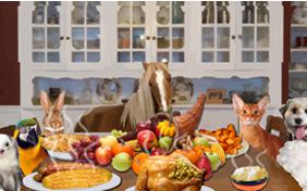 Thanksgiving Dinner pet ecard