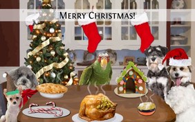 Christmas Dinner pet ecard