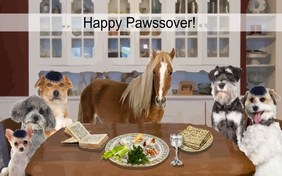 Passover Seder Plate pet ecard