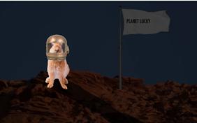 You're Out Of This World: Birthday pet ecard