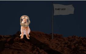 You're Out Of This World pet ecard