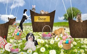 A Wonderful Easter pet ecard