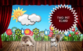 Just Us, Thinking of You two pet ecard