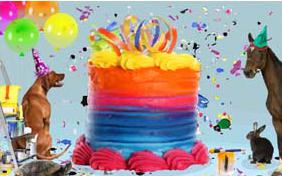 Birthday Surprise ecard with pets