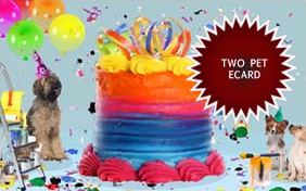 Birthday Surprise two pet ecard