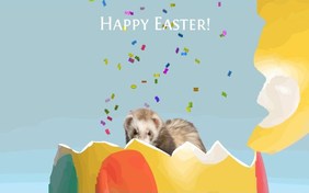 Easter Surprise pet ecard