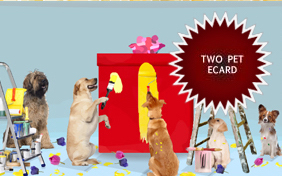 Congratulations Surprise ecard starring two pets