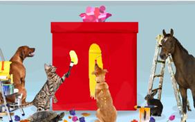 Congratulations Surprise pet ecard