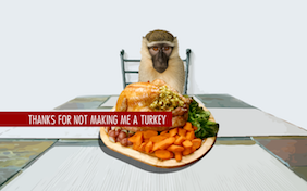 Thanksgiving Turkey pet ecard