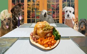 Family Thanksgiving pet ecard