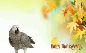Being Thankful pet ecard