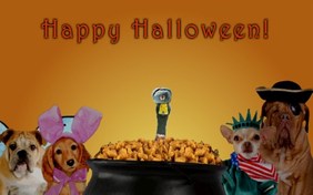Halloween Treats pet ecard
