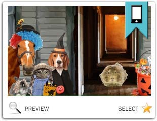 Trick or Treat Halloween pet ecard
