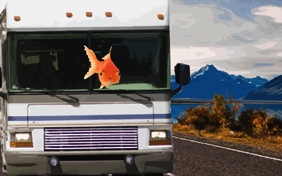 Have a Great Trip pet ecard