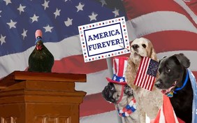 America Furever July Fourth pet ecard